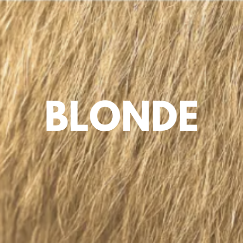 Hair Density Fillers – Instant Coverage. Zero Transfer. 24-Hour Hold.