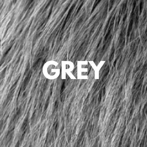 Hair Density Fillers – Instant Coverage. Zero Transfer. 24-Hour Hold.